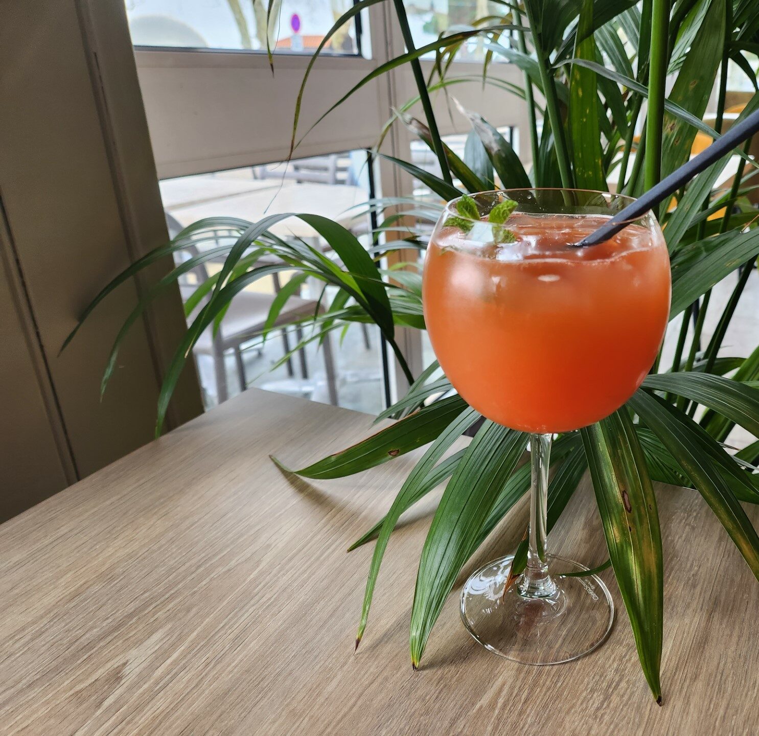 ares bar